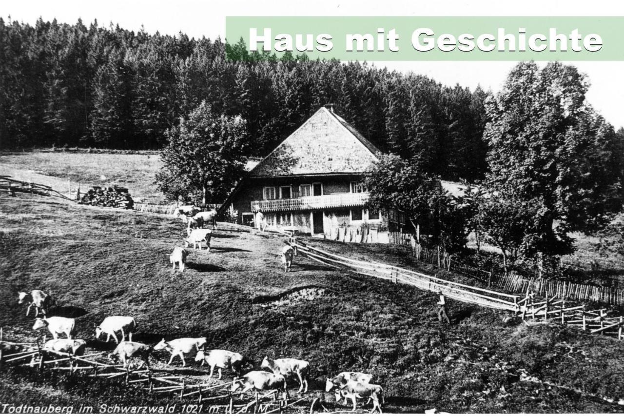 Wohlfuehl-Ferienwohnung 80 Qm, 8 Personen, Aussicht & Heimkino Todtnau Esterno foto