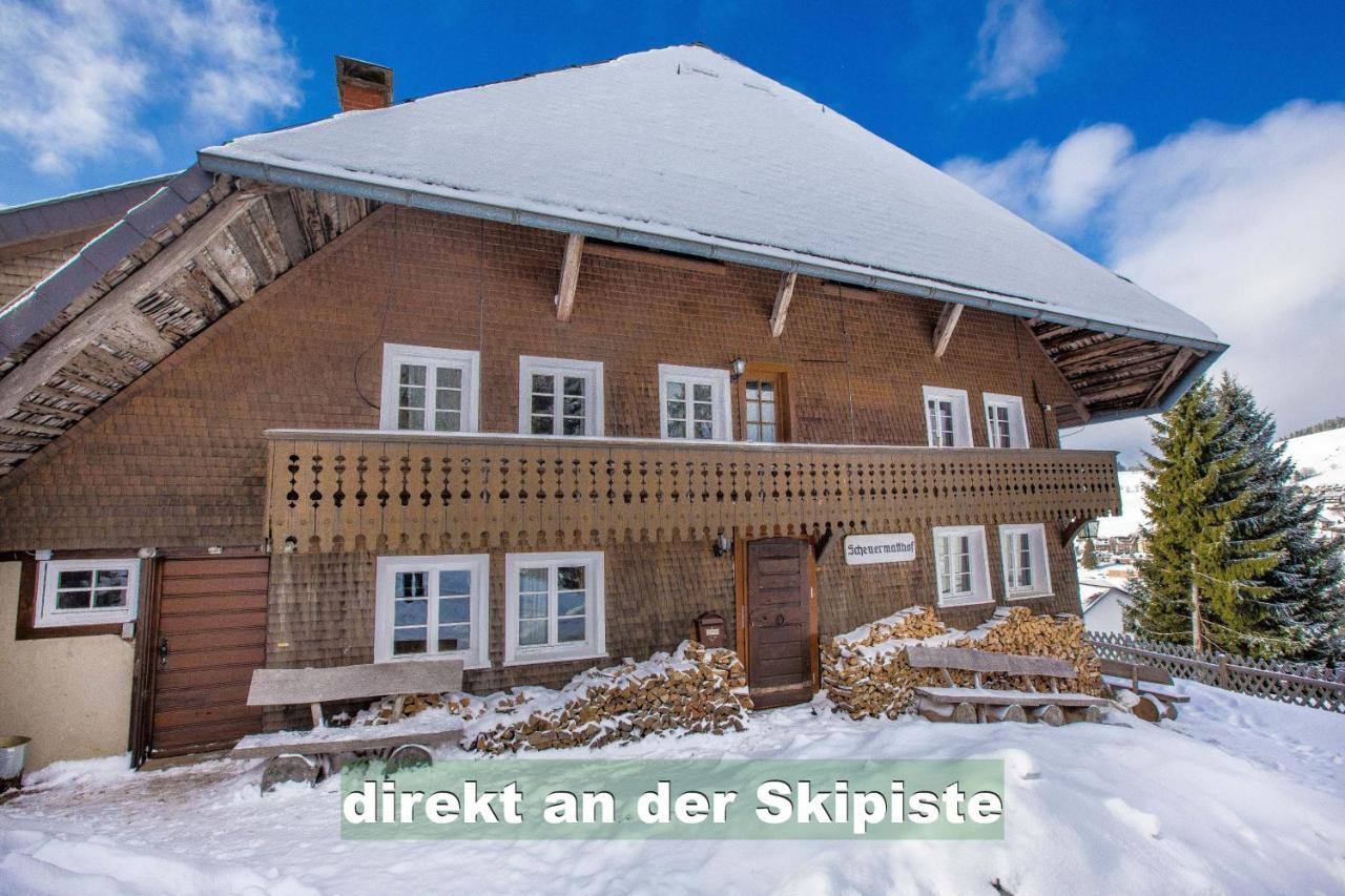 Wohlfuehl-Ferienwohnung 80 Qm, 8 Personen, Aussicht & Heimkino Todtnau Esterno foto